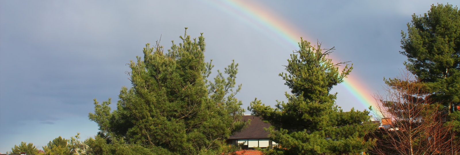 kayhart arboretum summer rainbow