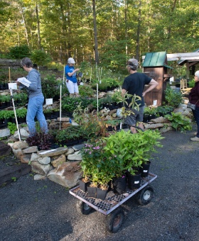 Wilderness Greenhouse - Learn More