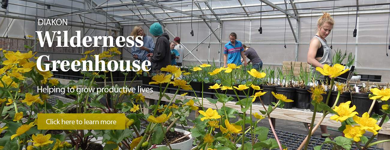 Diakon Wilderness Greenhouse